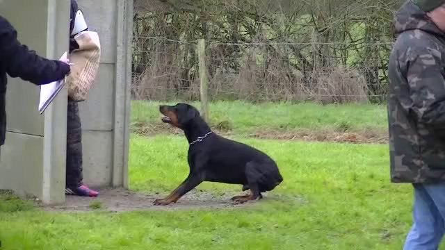 daicko defense selectifs 2014 fuyante et conduite de dos