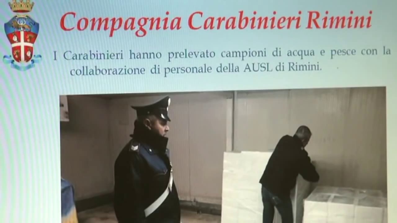 Rimini. Addittivi per rendere fresco il pesce vecchio. Sequestrati 1500 chili di pesce azzurro