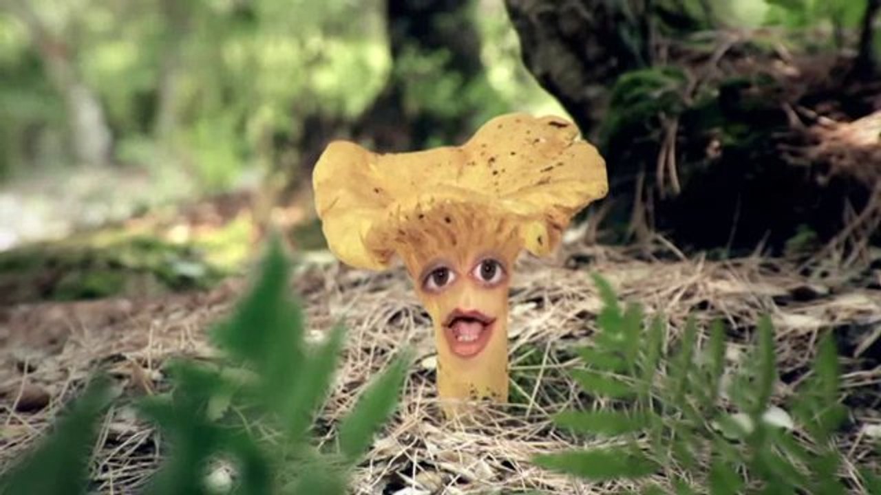 TV3 - Caçadors de bolets - Els bolets prenen vida a "Caçadors de bolets"