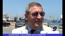 Regione Puglia | Sì alla cannabis per uso terapeutico