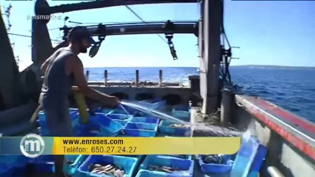 TV3 - Els Matins - Fer el turista en vaixells de pesca