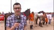 TV3 - Telenotícies migdia - Curses de cavalls de La Sénia