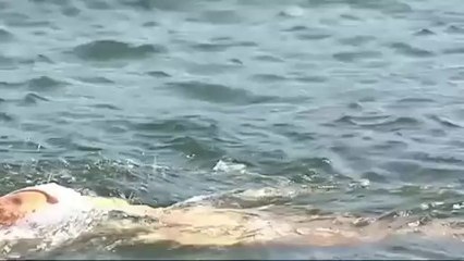 TV3 - Tot l'esport - Ona Carbonell desconnecta a Menorca