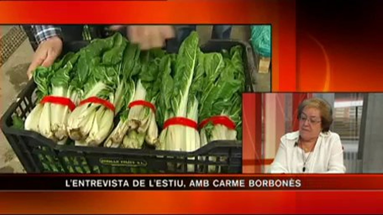 TV3 - L'entrevista de l'estiu - L'entrevista de l'estiu - Carme Borbonès, presidenta de Càritas C