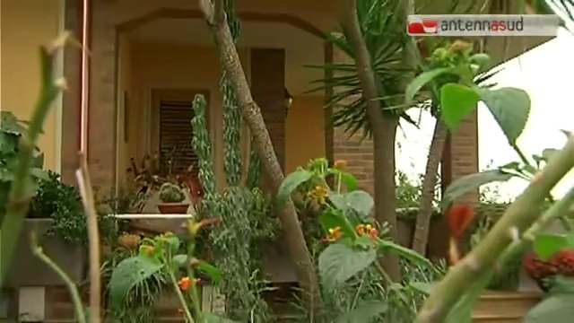 TG 21.01.14 Omicidio Scazzi, Sabrina Misseri rimane in carcere