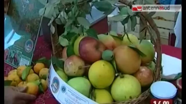 17.01.14 Nuova Pac, gli olivicoltori lanciano l'allarme