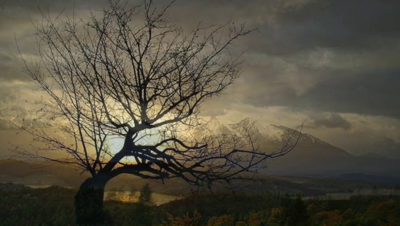 Keith Jarrett: The Köln Concert - Part IIa