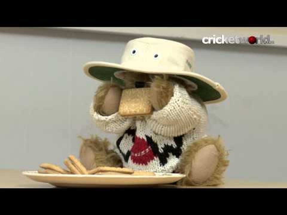 Ted! What Are You Doing? - The Furred Umpire & The Global Cricket Community