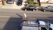 GTA 5 dans la rue - Un gars bourré essai de voler des voitures.