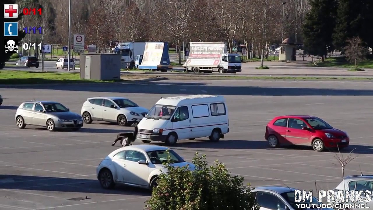 Hit and Run Experiment - Crazy prank!