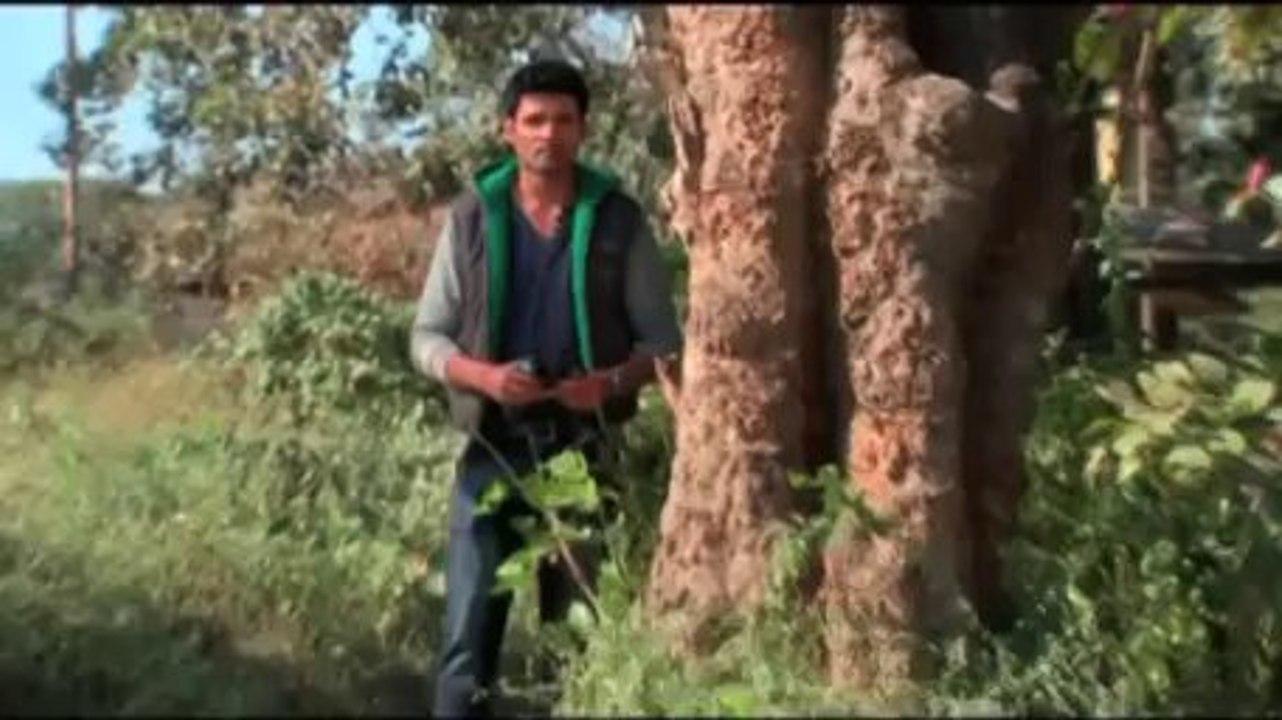 Bani Will Bani survive