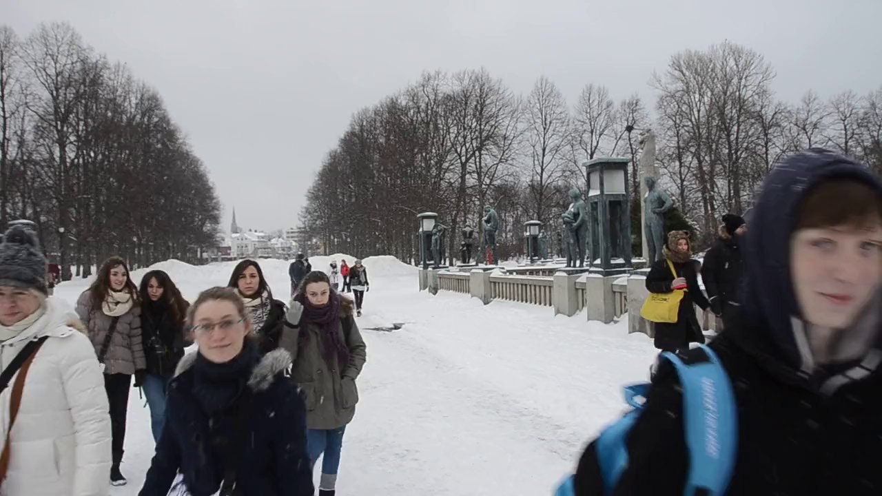 neigeneige