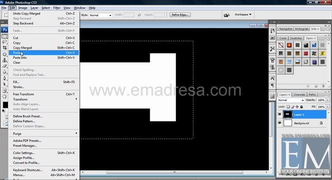 Cut Copy Past Basic Photoshop Tutorials in URDU, Hindi by Emadresa