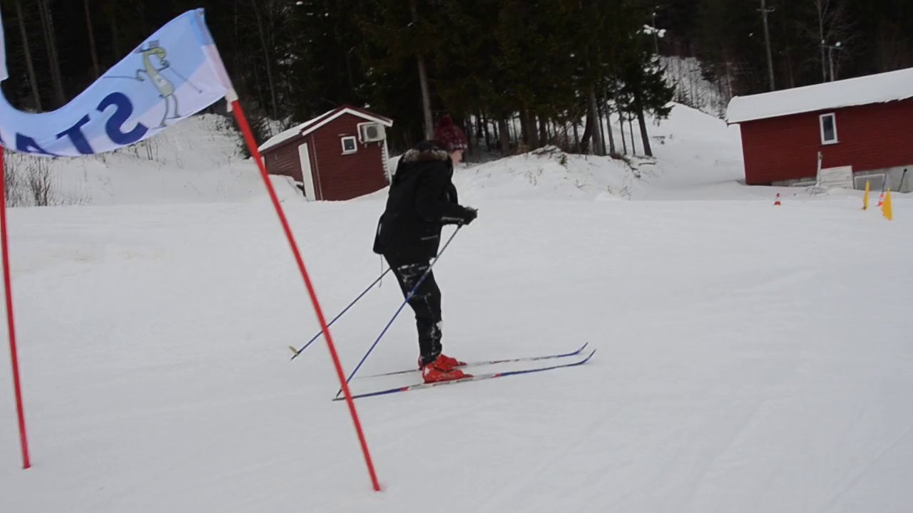 Ski