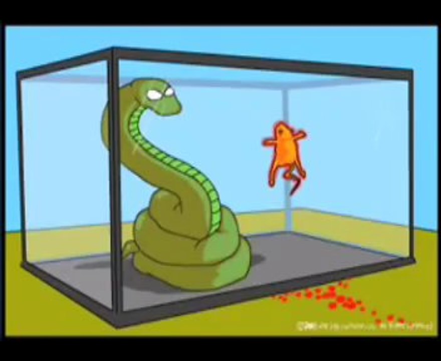 Joe mama dub by phunker