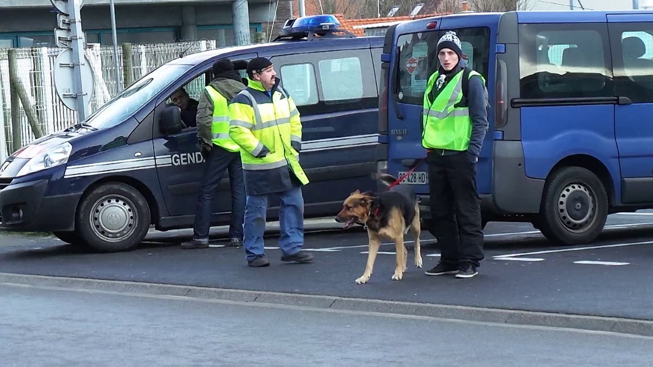 Bray-Dunes: battue dans les dunes pour retrouver Bernadette Vanhoorebecke