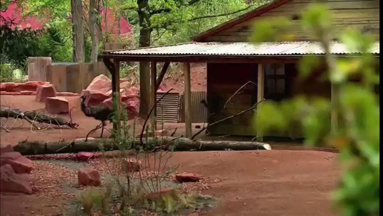 XENIUS, Jurassic Park en Allemagne