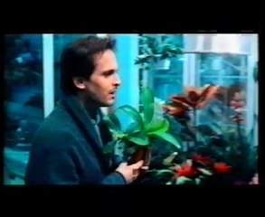 Enciende Mi Pasión Miguel Bosé 4/7