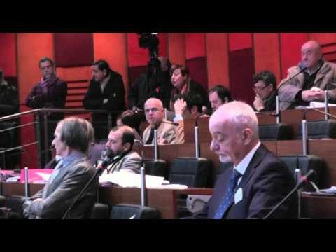 Napoli - Il Consiglio Comunale -1- (30.01.14)