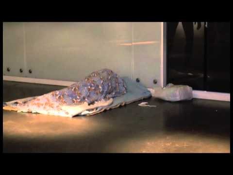 Napoli - Notte al freddo con i clochard (27.01.14)