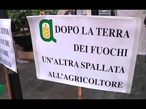 Napoli - Coldiretti: Vogliamo i mercatini (23.01.14)