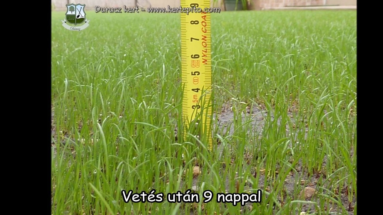 Kertépítés lépésről - lépésre