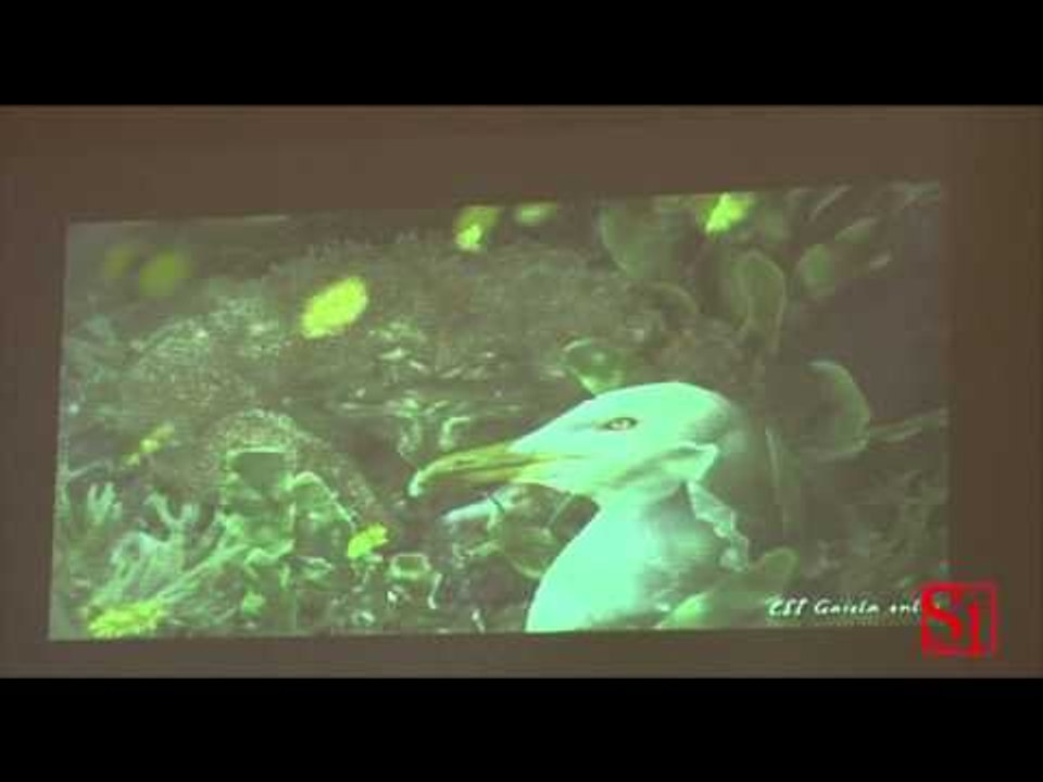 Napoli - Eventi in aree Gaiola e Pausyllipon (10.01.14)