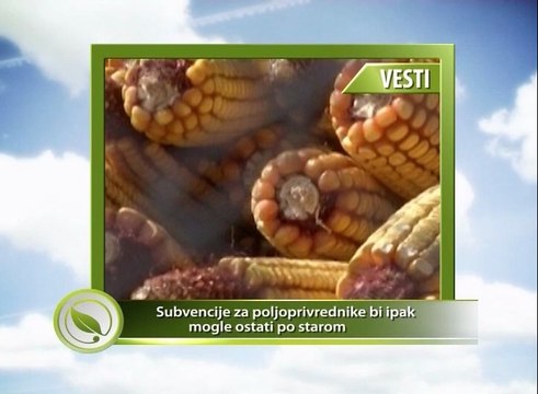 Vesti - Subvencije za poljoprivrednike bi ipak mogle ostati po starom