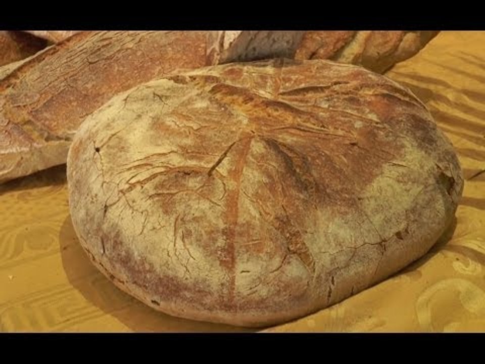 Campania - Approvata legge contro il pane abusivo -2- (18.12.13)