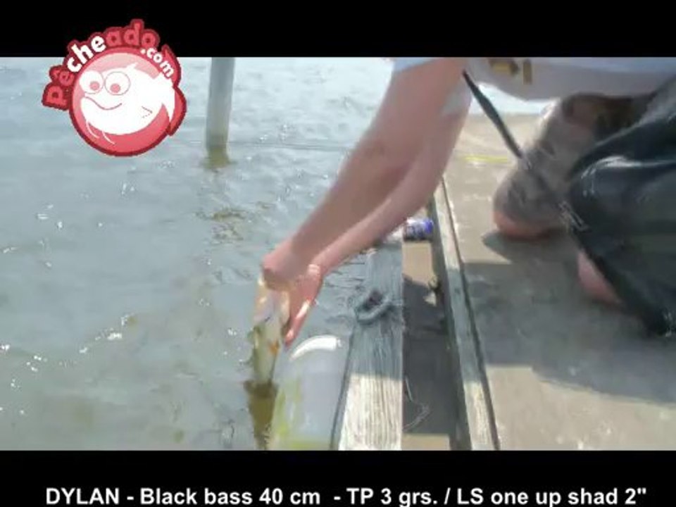 Black bass 40 cm - Technique : Leurre souple