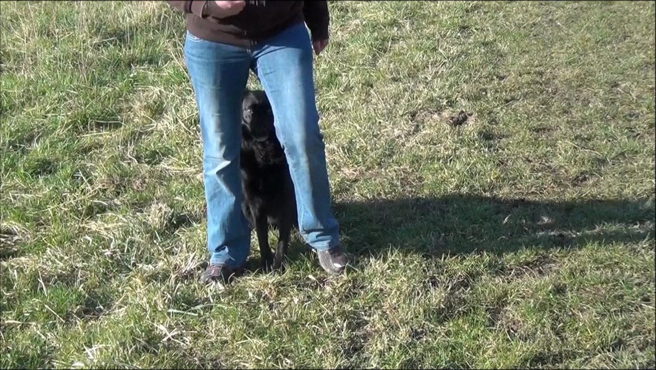 Tina obé rythmée janvier 2014