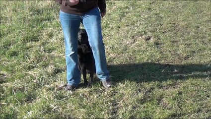 Tina obé rythmée janvier 2014