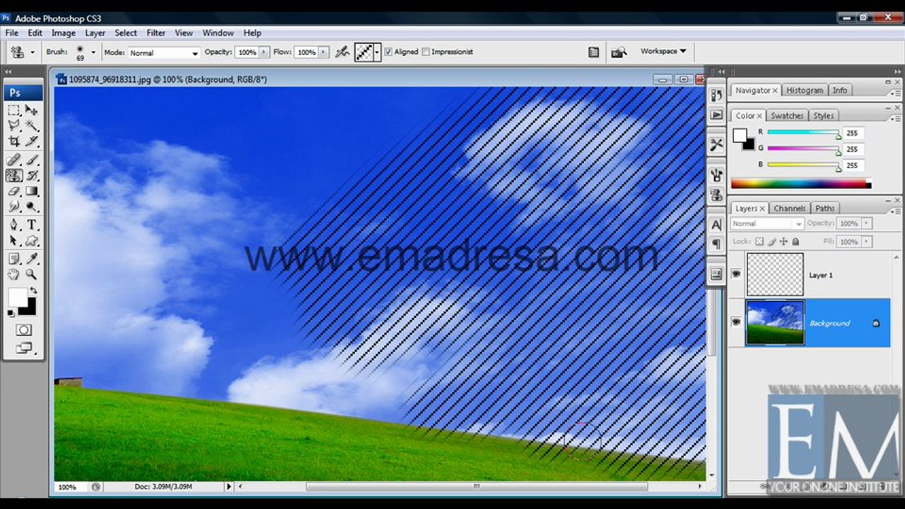 Clone Stamp Tool Basic Photoshop Tutorials in URDU, Hindi by Emadresa