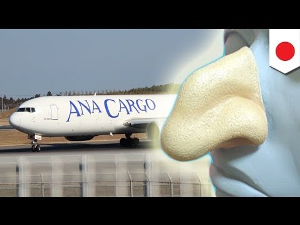 All Nippon Airways forced to apologise over 'racist' advert