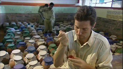 O que faz uma gota de veneno de serpente no sangue humano