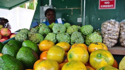Barbados Holidays | Fishing Village People & Lifestyles