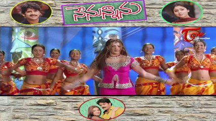 Nenunnanu Video Songs Juke Box || Nagarjuna || Shriya || Arti Agarwal