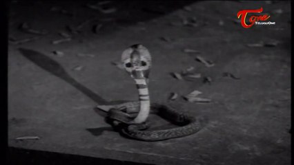 Jatakaratna Midathambotlu Comedy Scene | Padmanabham Singing Songs Infront Of Snake