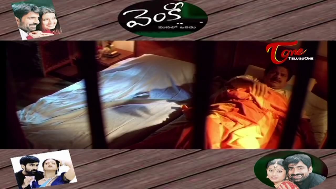 Venky Video Songs Juke Box || Ravi Teja || Sneha