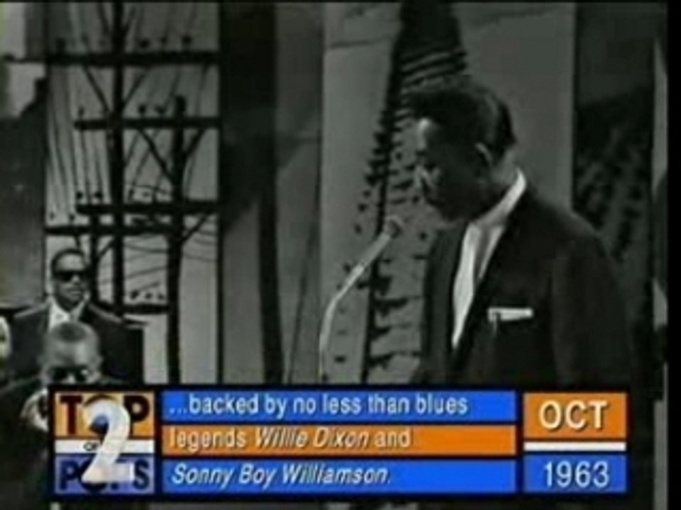 Muddy Waters - Got My Mojo Working