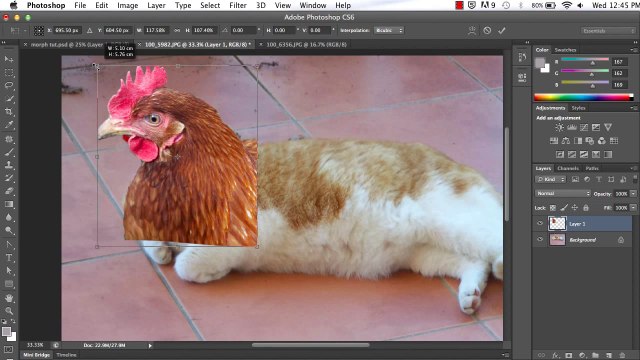 Photoshop: Morphing Animals and more - Tutorial