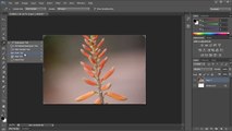 Photoshop CS6: How to Straighten Images - Tutorial
