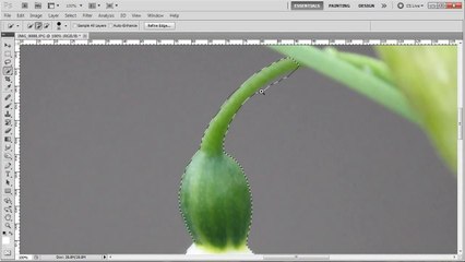 Photoshop: Easy and Accurate Selections - Tutorial