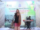 Microscreen International Attock Minister Sh Aftab punjab youth fest 2014  boy collage program