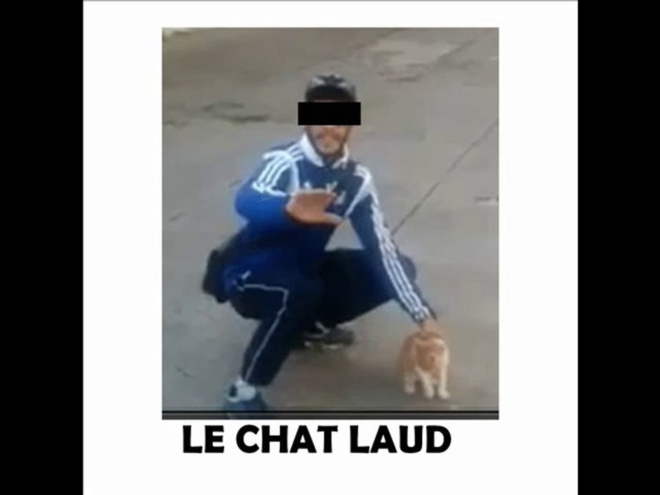 lancer de chat à Marseille Oscar le Chat et Farid le Chat laud