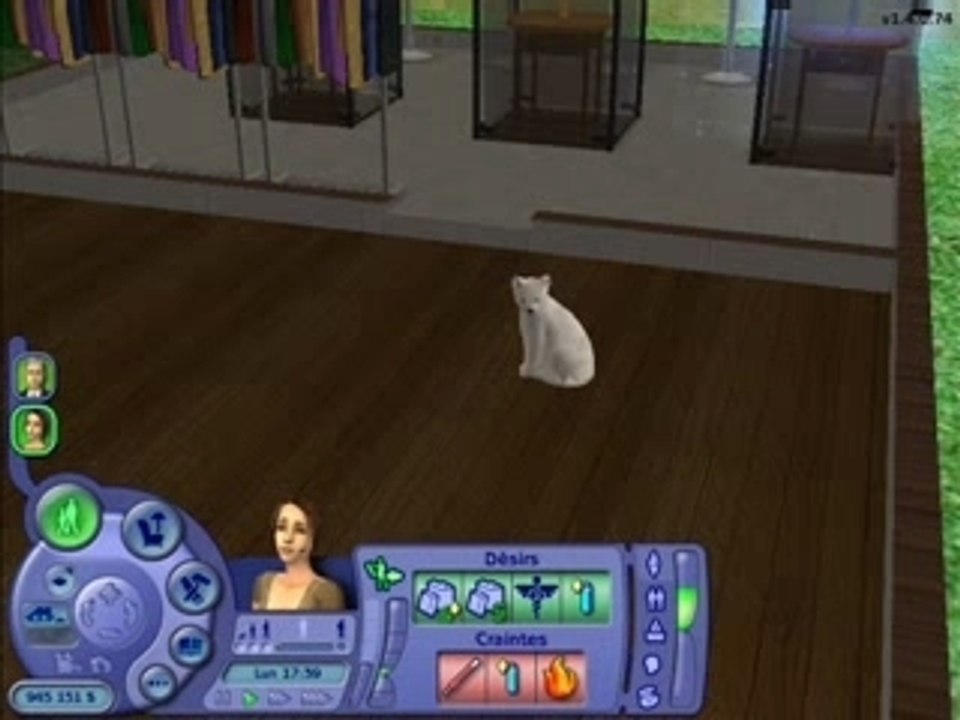 Les sims 2 (chat)