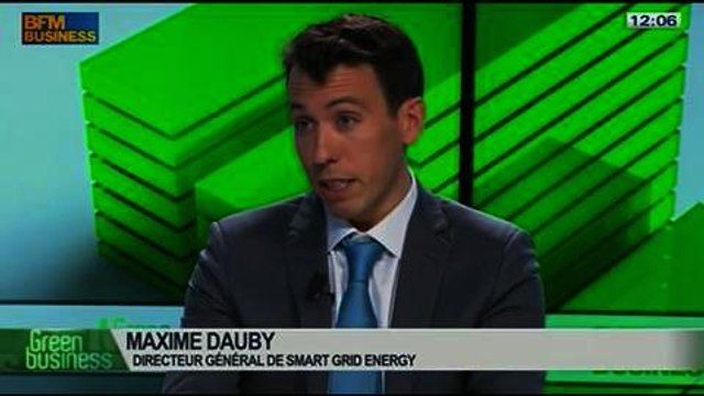 L'effacement de consommation électrique: Arnaud Gossement et Maxime Dauby, dans Green Business – 02/02 1/4