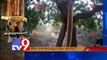 Teak Wood smuggling in Papikondalu exposed - Tv9 Nigha
