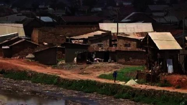 Development threatens Uganda wetlands