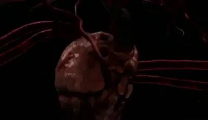 What are The Disadvantages of Smoking on The Human Body